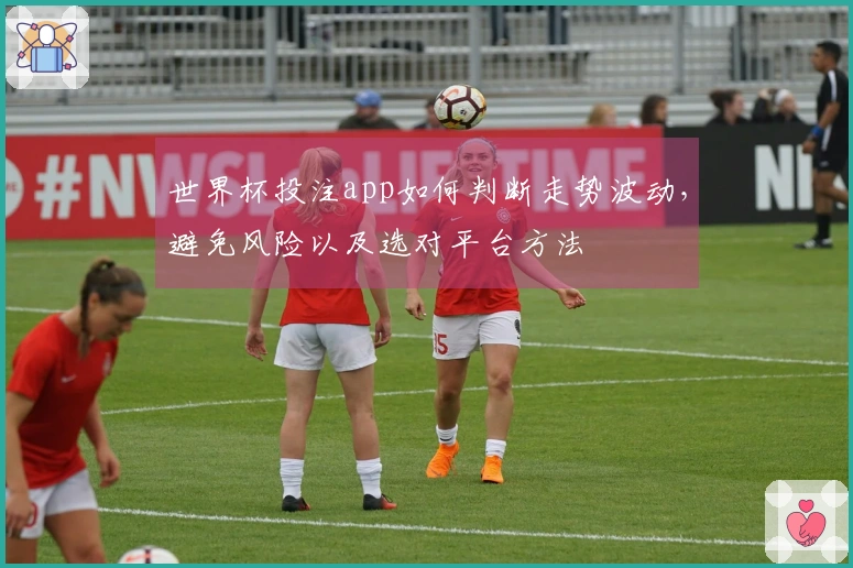 世界杯投注app如何判断走势波动，避免风险以及选对平台方法