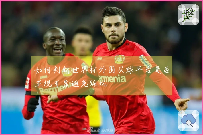 如何判断世界杯外围买球平台是否正规可靠避免踩坑