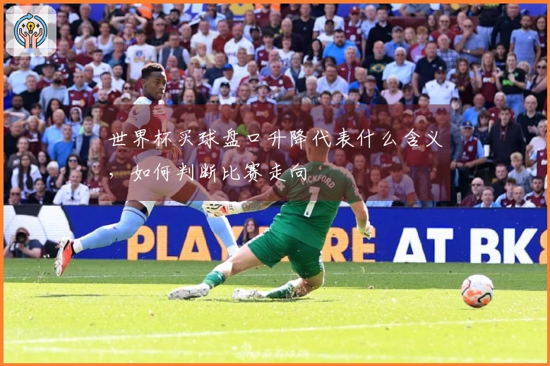 世界杯买球盘口升降代表什么含义，如何判断比赛走向