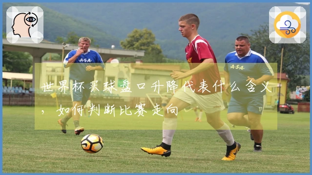 世界杯买球盘口升降代表什么含义，如何判断比赛走向